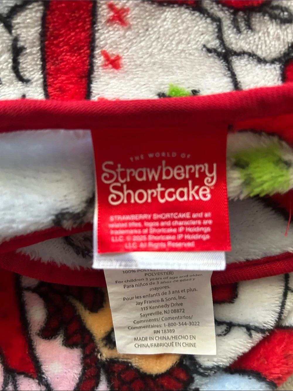 Kids Strawberry Shortcake Blue Plush Throw Blanket